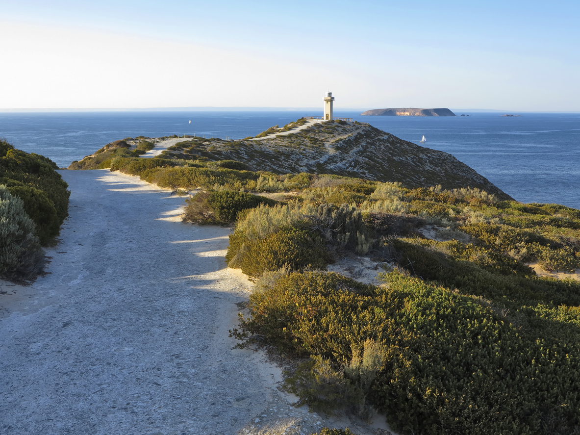 Lighthouse at Marion Bay